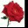 ragit.wordpress.com