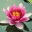 inspiringalways.wordpress.com