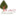 vigorousgrowth.us