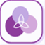 pivotmin.com