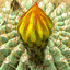satipatthana.ch