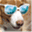 wcrawford.com
