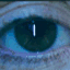 cjarvis.com