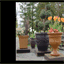 genesisstonedesign.com