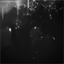 loomer.bandcamp.com