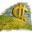 pipsopolis.wordpress.com