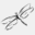 dragonflytearoom.com