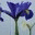 minervashand.wordpress.com