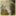 web2panorama.wordpress.com