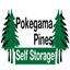 pinecitystorage.com