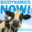 bdnow.org