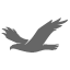 soaringteam.com