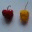 chilicharly.wordpress.com