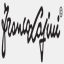 francolapini.com