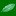 nativeflags.org