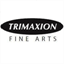 trimaxion.com