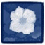 davidbali.com