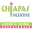 chiapasincentives.com