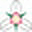 paintedtrillium.com