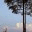 swarajmr.wordpress.com