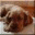 dioncho.wordpress.com