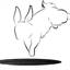 rabbitcreations.com