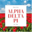 techadpi.com