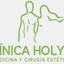 holyne.cl
