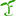 tfcampus.com
