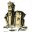dalgorie.com