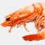 iamshellfish.wordpress.com