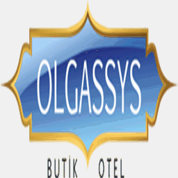 olgassys.com