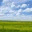 oldfieldmomma.wordpress.com