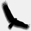crownedeagledesign.com
