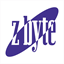 zbytedata.com