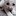 lofter.chenruotian.com
