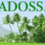 devadoss.org