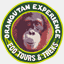 orangutanexperience.com