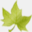 lymeessentialscanada.ca