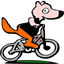 mountainbikeschool.eu
