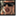 gtasamp.net