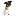 randolphhumane.org