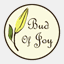 buizer.org