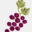 giftedgrape.com