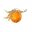mistyorange.com