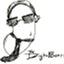 thedigitalbean.net