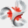 macropro.com.tw