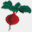 redradish.com