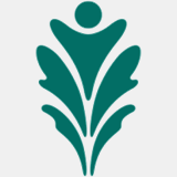 obersinnernursery.com