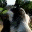 datagoat.wordpress.com